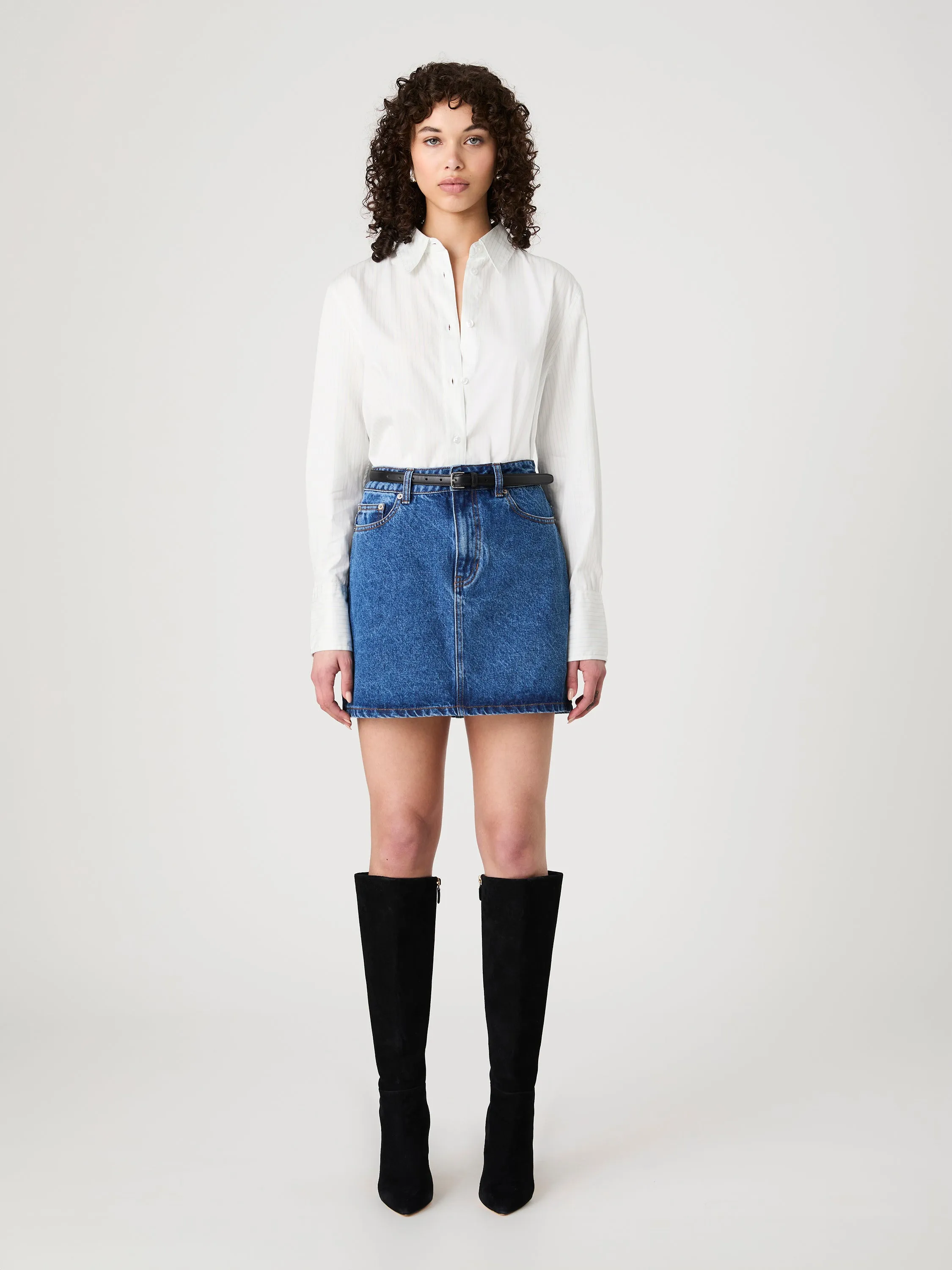 Pinstripe Poplin Button Down